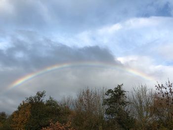 Low angle view of rainbow over trees against sky