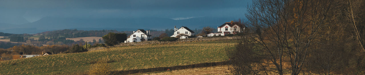 Three white houses in rural field