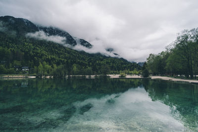 Scenic view of lake by trees against sky