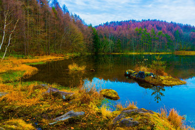 Reflection of trees in lake