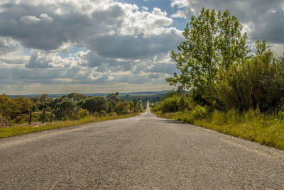 Empty road with trees in background