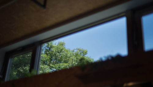 Low angle view of trees against sky seen through window