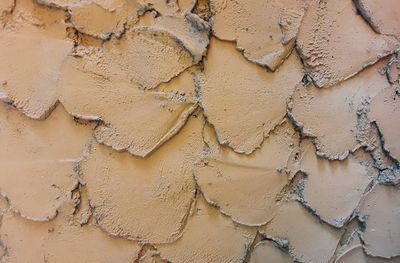 Full frame shot of weathered wall