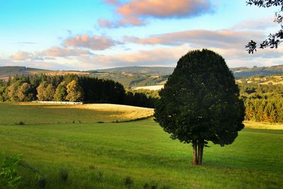 Scenic view of grassy field against cloudy sky