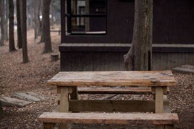 Wooden bench on wooden wall