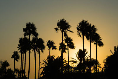 Silhouette palm trees against sky during sunset