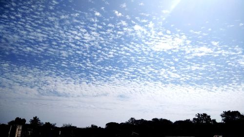 Low angle view of silhouette trees against sky