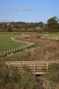 Wildlife conservation corridor between fields. dumfries, scotland.