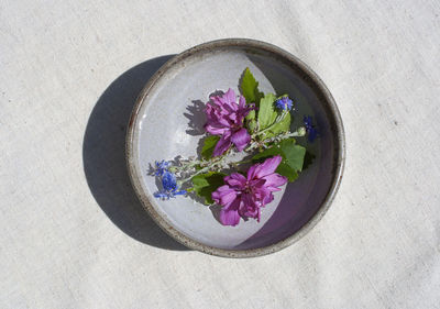 High angle view of purple flowering plant