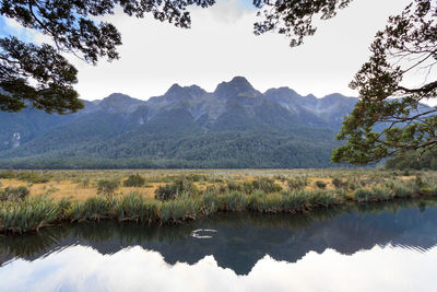 Reflection of trees in lake against sky