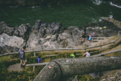 High angle view of people on land against trees