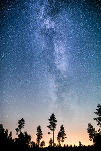 Low angle view of silhouette trees against sky at night