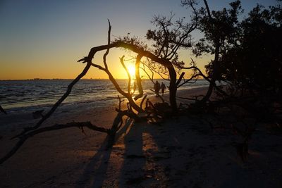 Sunset over sea