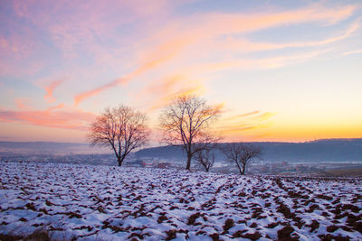 Snow covered field at sunset