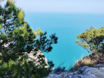 Scenic view of sea against clear blue sky