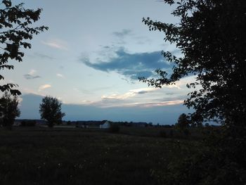 Silhouette trees on field against sky at sunset