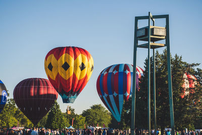 Hot air balloons in summer