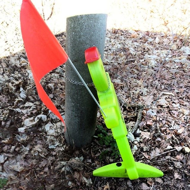 green color, leaf, close-up, still life, high angle view, plastic, ground, field, day, red, no people, green, plant, outdoors, sharp, single object, stem, vegetable, growth, yellow