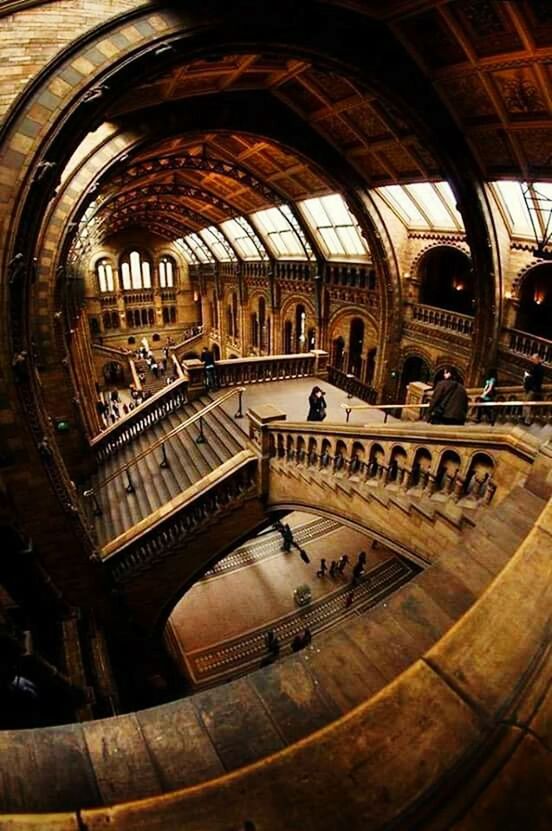 indoors, wood - material, architecture, arch, day, sunlight, no people, built structure, fish-eye lens, wine cask