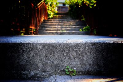 Staircase by footpath