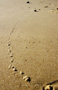 Surface level of sandy beach