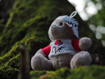 Close-up of stuffed toy against blurred background