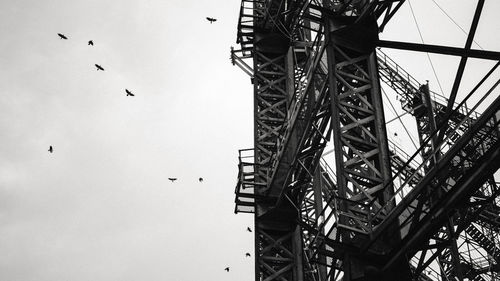 Low angle view of birds flying against sky