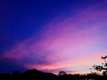 Low angle view of silhouette trees against sky at night