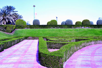 View of garden against clear sky