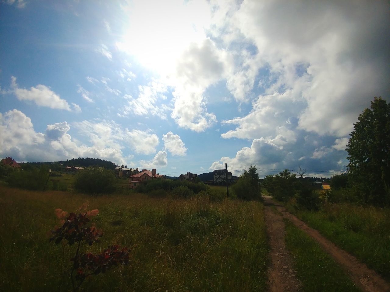 sky, environment, landscape, plant, land, cloud - sky, nature, grass, field, scenics - nature, no people, tranquil scene, tranquility, beauty in nature, day, tree, direction, outdoors, rural scene, sunlight, bright