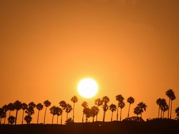 Low angle view of silhouette trees against sky during sunset