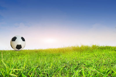 Soccer ball on field against blue sky