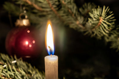 Close-up of illuminated christmas tree