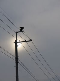 Low angle view of electricity pylon