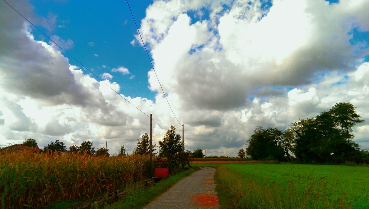 sky, field, cloud - sky, landscape, grass, tranquil scene, tranquility, rural scene, cloud, the way forward, cloudy, nature, growth, agriculture, beauty in nature, tree, scenics, blue, green color, farm