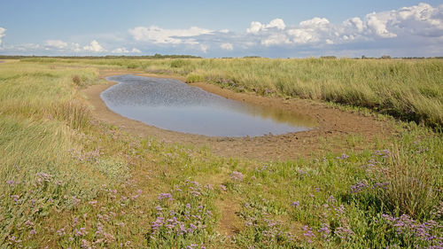 Scenic view of land against sky