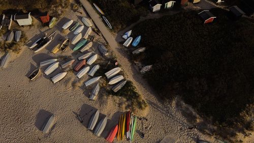 High angle view of plants on beach