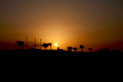 Silhouette of trees at sunset