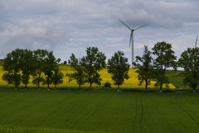 Trees amidst crops growing on farm against windmill