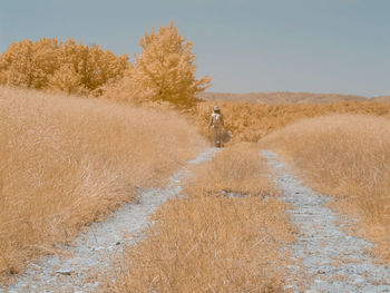 Woman walking on inftrared field