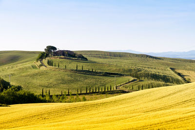 Scenic view of farm against clear sky