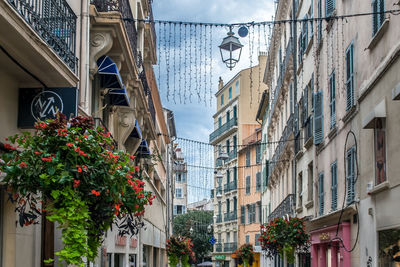 Low angle view of potted plants on street amidst buildings