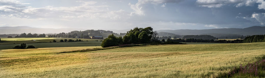 Scenic view of grassy field against cloudy sky