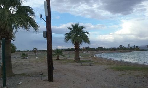 Palm trees on beach