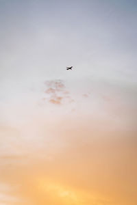 Golden sunset sky with a little plane flying high. flying to your dreams concept wallpaper.