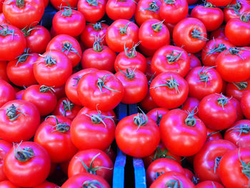 Full frame shot of tomatoes for sale at market stall