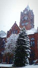 Snow covered trees