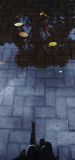 High angle view of people walking on street