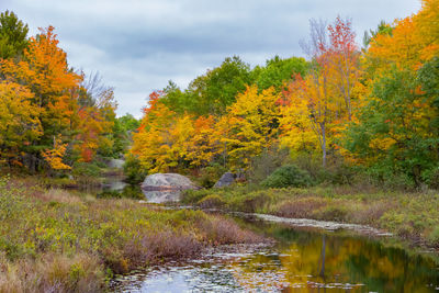 Scenic view of lake amidst trees during autumn