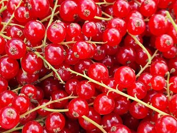 Full frame shot of red cherries